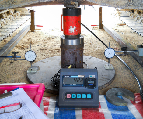 Plate Loading Test