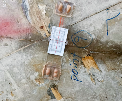 Crack Monitoring