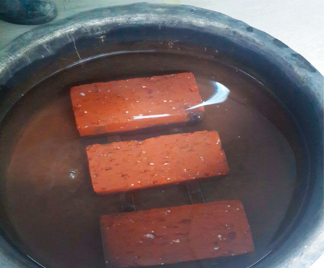 Water Absorption Test on Brick