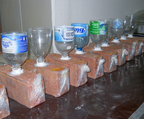 Efflorescence Test